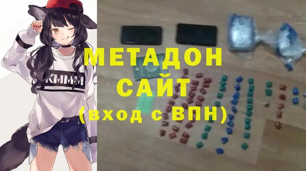 индика Медвежьегорск