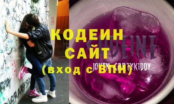 индика Медвежьегорск