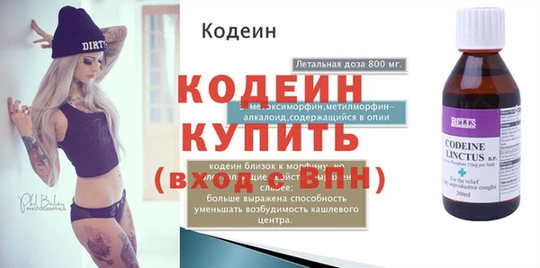 индика Мегион