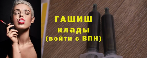 индика Мегион