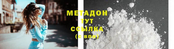 индика Медвежьегорск