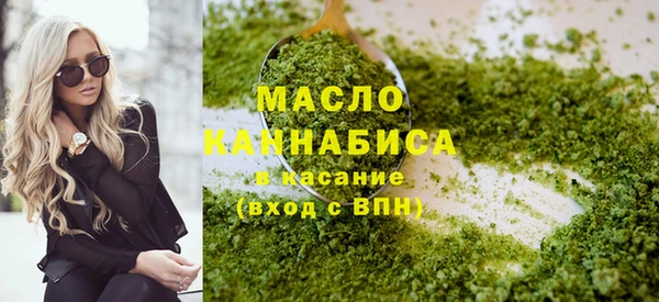 индика Медвежьегорск