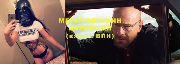 индика Медвежьегорск