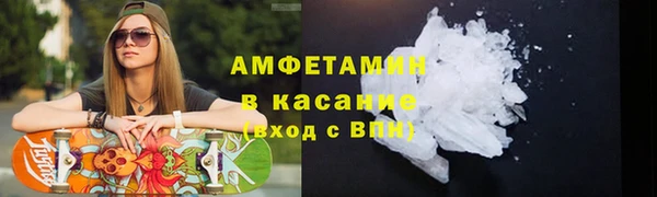 индика Мегион