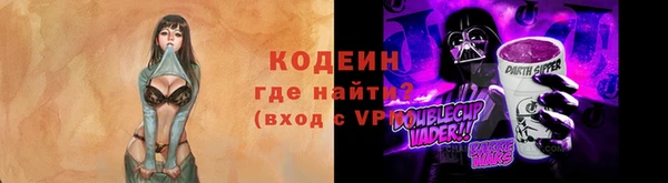 индика Медвежьегорск