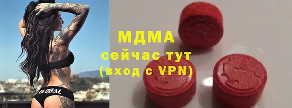 индика Медвежьегорск