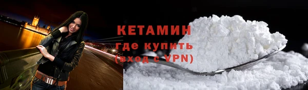 индика Медвежьегорск