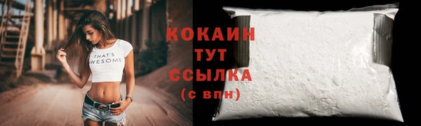 индика Медвежьегорск