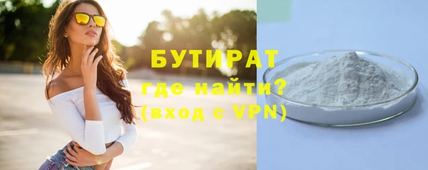 индика Медвежьегорск