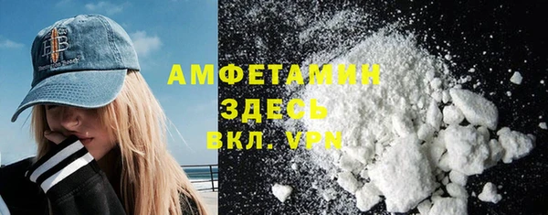 индика Мегион