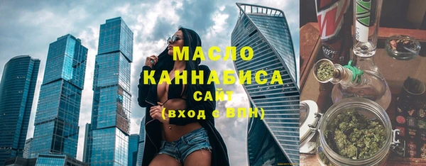 индика Медвежьегорск