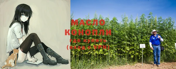 индика Медвежьегорск
