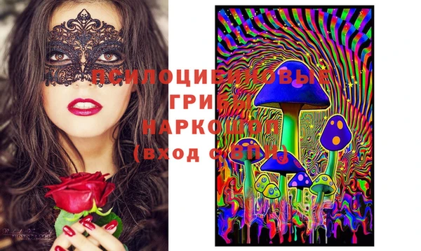 индика Мегион