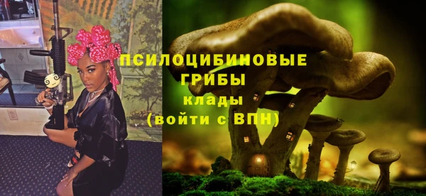 ALPHA-PVP Медногорск