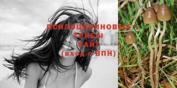 ALPHA-PVP Медногорск