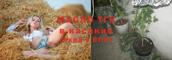 индика Мегион