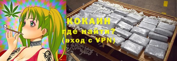 индика Мегион