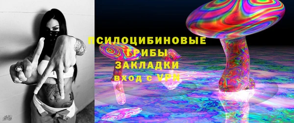 индика Медвежьегорск