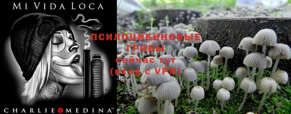 ALPHA-PVP Медногорск