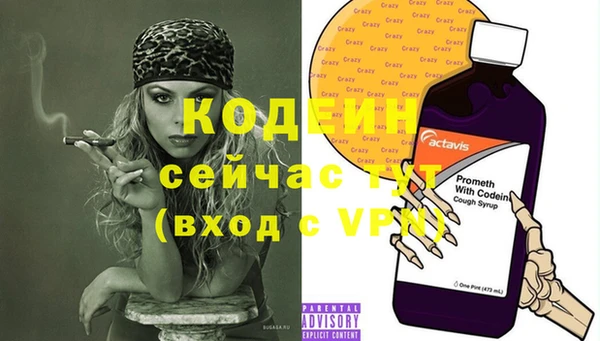 индика Мегион