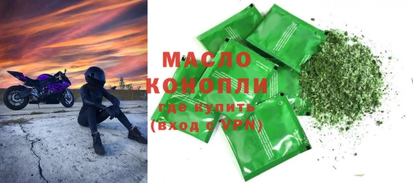 индика Мегион