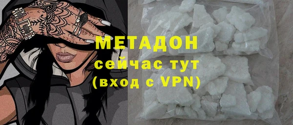 индика Мегион