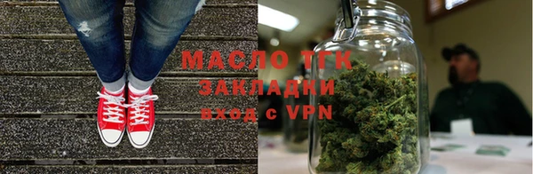 индика Мегион