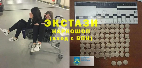 индика Медвежьегорск