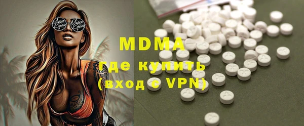 индика Мегион